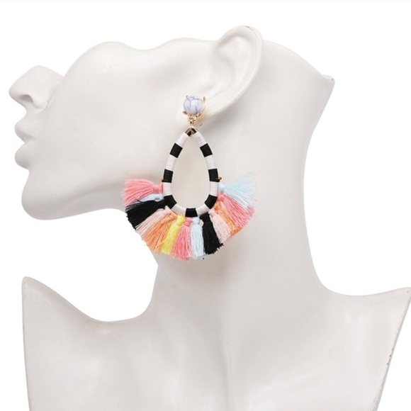 LAST 1! Boho Preppy Multicolor Fringe Earrings - Picture 4 of 6